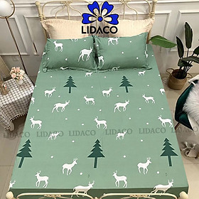 Bộ ga, ra, drap