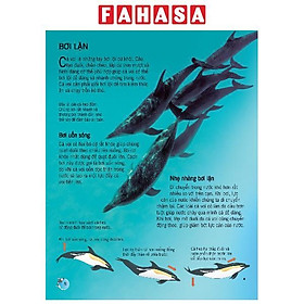 Sách Bách Khoa Tri Thức Về Khám Phá Thế Giới Cho Trẻ Em - Cá Voi Và Cá Heo (Tái Bản 2018)