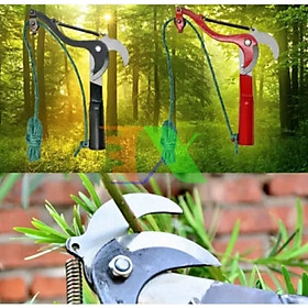 1 ĐẦU KÉO CẮT TỈA CÀNH CÂY HÁI HOA QUẢ TRÊN CAO ĐA NĂNG THUẬN TIỆN 