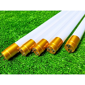 Mua Bộ 5 bóng đèn led tuýp 1m2 công suất 32W T8 độ phủ sáng mạnh và rộng 6500K  đèn chưa bao gồm máng.