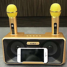 Loa Hát Karaoke SD301 Kèm 2 Mic Không Dây Giau Màu Ngẫu Nhiên