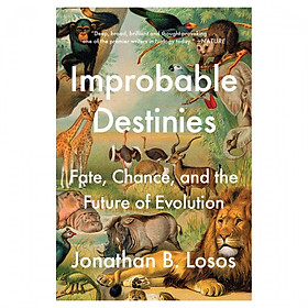 Ảnh bìa Improbable Destinies