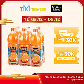 Lốc 6 Chai Nước Cam Có Tép Teppy Minute Maid (1L / Chai)
