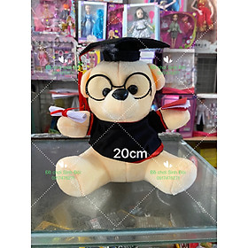 Thú bông gấu tốt nghiệp nhỏ 20cm có đeo kính - màu ngẫu nhiên