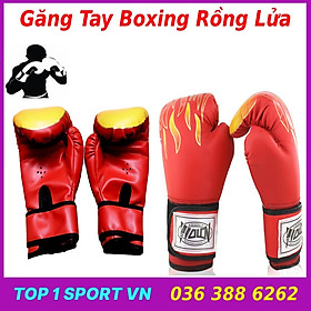 Găng Tay Boxing BN