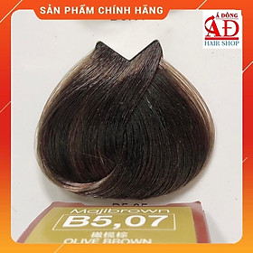 Thuốc nhuộm tóc phủ bạc 100% L'oreal Majibrown 50ml + oxy pha chính hãng hàng chuyên nghiệp trong Salon