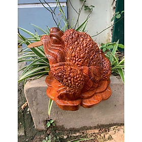 Mua Cóc ngậm đồng tiền vàng bằng gỗ hương kt 15×14×10cm