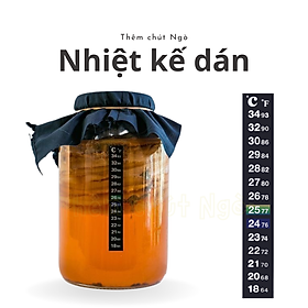 Mua Nhiệt Kế Dán - Dùng Theo Dõi Nhiệt Độ Bình Scoby Kombucha