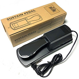 Mua Pedal dùng cho đàn organ và piano điện
