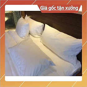 Mua Vỏ gối khách sạn hay áo bọc gối chất liệu cotton cvc trắng trơn  trắng sọc 3cm 1cm cao cấp