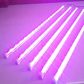 Mua Combo 5 Bộ Đèn LED Trồng Hoa Lan trong nhà với diện tích nhiều. Đèn có ánh sáng quang phổ màu tím hồng nên giúp cây  hoa và rau phát triển nhanh hơn