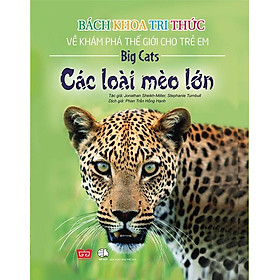 Sách Bách Khoa Tri Thức Về Khám Phá Thế Giới Cho Trẻ Em - Các Loài Mèo Lớn (Tái Bản 2018)