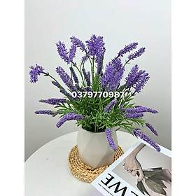 Bình hoa lavender bình thấp-decor nhà xinh