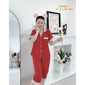 Đồ Bộ Pijama Quần Lửng Lụa Mango Cao Cấp BigSize XL 2XL Giảm 10K Đơn 200K