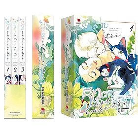 Boxset 50cm một cuộc đời