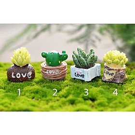 Tiểu cảnh - Xương Rồng Nhỏ Làm Tiểu Cảnh - trang trí terrarium / decord mô hình quà tặng trang trí
