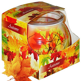 Mua Ly nến thơm tinh dầu Admit Autumn 85g QT06344 - lá phong đỏ