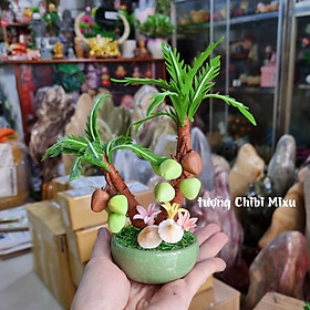 Mua Chậu cây dừa 16cm bằng đất sét Nhật - kinh doanh thịnh vượng