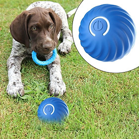 Interactive Cat Toy Ball Moving Rolling Pets Toy Ball Silicone Training Resistant to Bite Electric Automatic Pet Exercise Ball