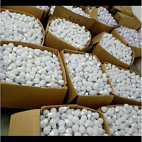Mua đèn điện bulb 3w  5w  7w 9w  12w kín nước(chống nước) a.s trắng và vàng DDT
