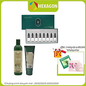 Combo Bộ Dầu Gội Xả Gừng + Huyết thanh Weilaiya Chính Hãng -  Bộ đôi hỗ trợ mọc tóc