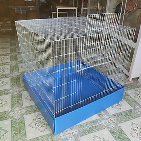 Các Loại Thú Nuôi Khác