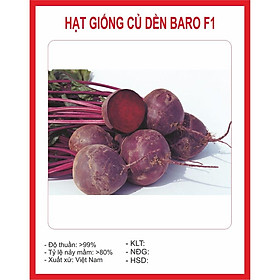 Mua Hạt giống CỦ DỀN (Đỏ) 2Gram
