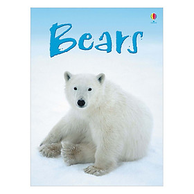 [Download Sách] Usborne Bears