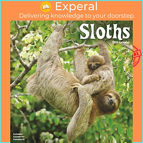 Sách - Sloths Calendar 2024  Square Animal Wall Calendar - 16 Month by Avonside Publishing Ltd (UK edition, paperback)