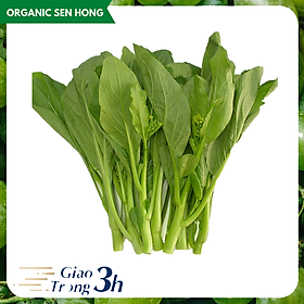 Cải ngồng 1kg - Giao nhanh 3h