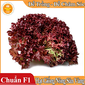 Mua Hạt giống Xà Lách Tím Năng Suất Cao ( Gói 1 Gram ) - Nông Sản Vàng