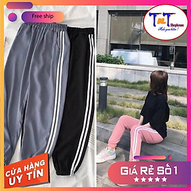 S34 Set Quần Thể Thao Jogger Phối Áo Cá Heo Cho Nam Và Nữ, Đồ Đôi Thể Thao Dạo Phố