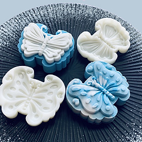 Mua JUN24_ Khuôn bánh trung thu_ 2 kiểu_65GR