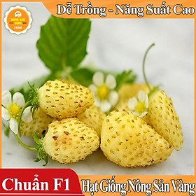 Hạt giống Dâu Tây Vàng ( Gói 30 Hạt ) - Nông Sản Vàng