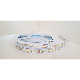Mua Led dán 5m không keo 2835 sản phẩm trang trí tủ bếp  cạnh bàn  cạnh ghế  hắc trần
