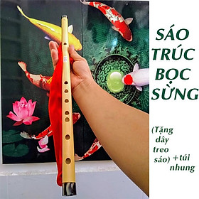 Mua Sáo trúc bọc sừng - Sáo Đô C5 cơ bản HL18
