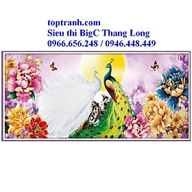 Mua Tranh thêu chữ thập 2 con công và hoa mẫu đơn phu thê viên mãn LV3257 chưa thêu