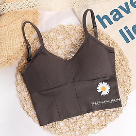 Áo Bra Hoa Cúc Họa Mi Thun Gân Hottrend Cá Tính