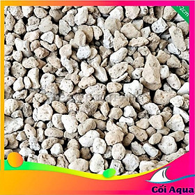 Hình ảnh Đá bọt ( đá Pumice) Size( 3- 5 cm) trồng Tiểu cảnh Terrarium thoát nước ( Xuất xứ Indonesia)
