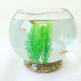 Combo bể cá tròn để bàn 20cm + phụ kiện