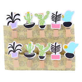 Bộ Kẹp Ảnh Gỗ - Plants