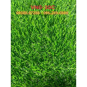 Mua Cỏ nhân tạo màu xanh tươi  xanh sẫm  cao 3cm  sử dụng ngoài trời  chịu nước  cỏ lót sàn  sân vườn  BH lên tới 3 năm
