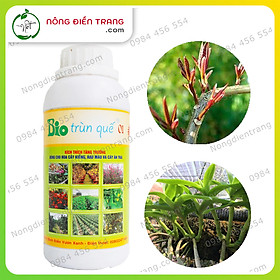 Mua Phân Bón Hữu Cơ Sinh Học BIO TRÙN QUẾ 01 - Dịch Chiết Thủy Phân Trùn Quế BIO 01 - Chai 500ml - Kích thích sinh trưởng  phục hồi cây suy yếu VTNN Nông Điền Trang