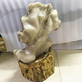 Cây đá màu vàng vân gỗ cao 52 cm, nặng 27 kg cm cho người mệnh Kim và Thổ đá tự nhiên ( tặng chân đế gỗ rừng)
