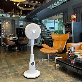 Mua QUẠT CÂY PHUN SƯƠNG TẠO ẨM CAO CẤP DE MULLER Hàng chính Hãng