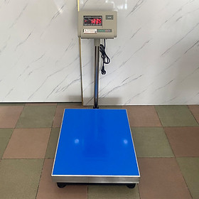 Cân điện tử 500kg A12E