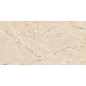 Mua Gạch ốp tường bề mặt bóng EVW48001 (40X80cm)