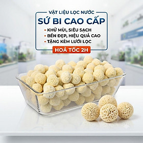 1Kg Sứ Bi Lọc Nước Hồ Cá Cảnh, Vật Liệu Lọc Nước Siêu Sạch, Khử Mùi Tốt, Bền Đẹp - 400Gr