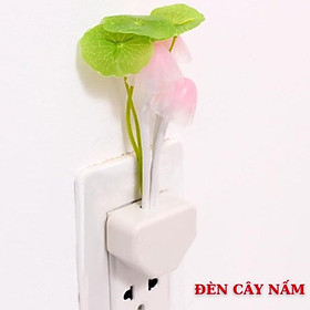 Mua Đèn Ngủ Cảm Ứng Ánh Sáng  Ban Đêm Tự Sáng Hình Cây Nấm. Đèn Ngủ Thông Minh Cảm Biến Ánh Sáng Tiết Kiệm Điện