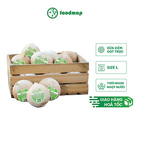 Combo 10 Trái Dừa Xiêm Gọt Trọc Thượng Hạng - Size L (450 - 600 Gr/Trái) - FoodMap Fruits